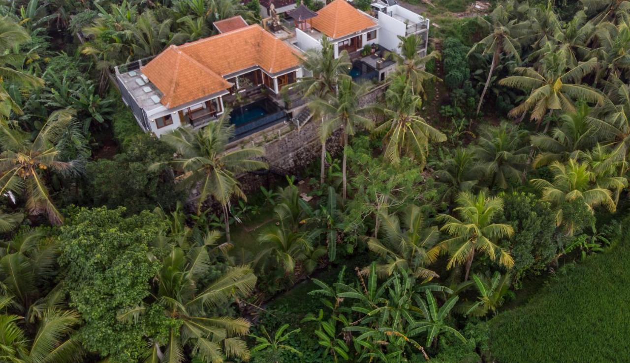 The Shea Ubud Tranquility Villa With Private Pool Exteriér fotografie