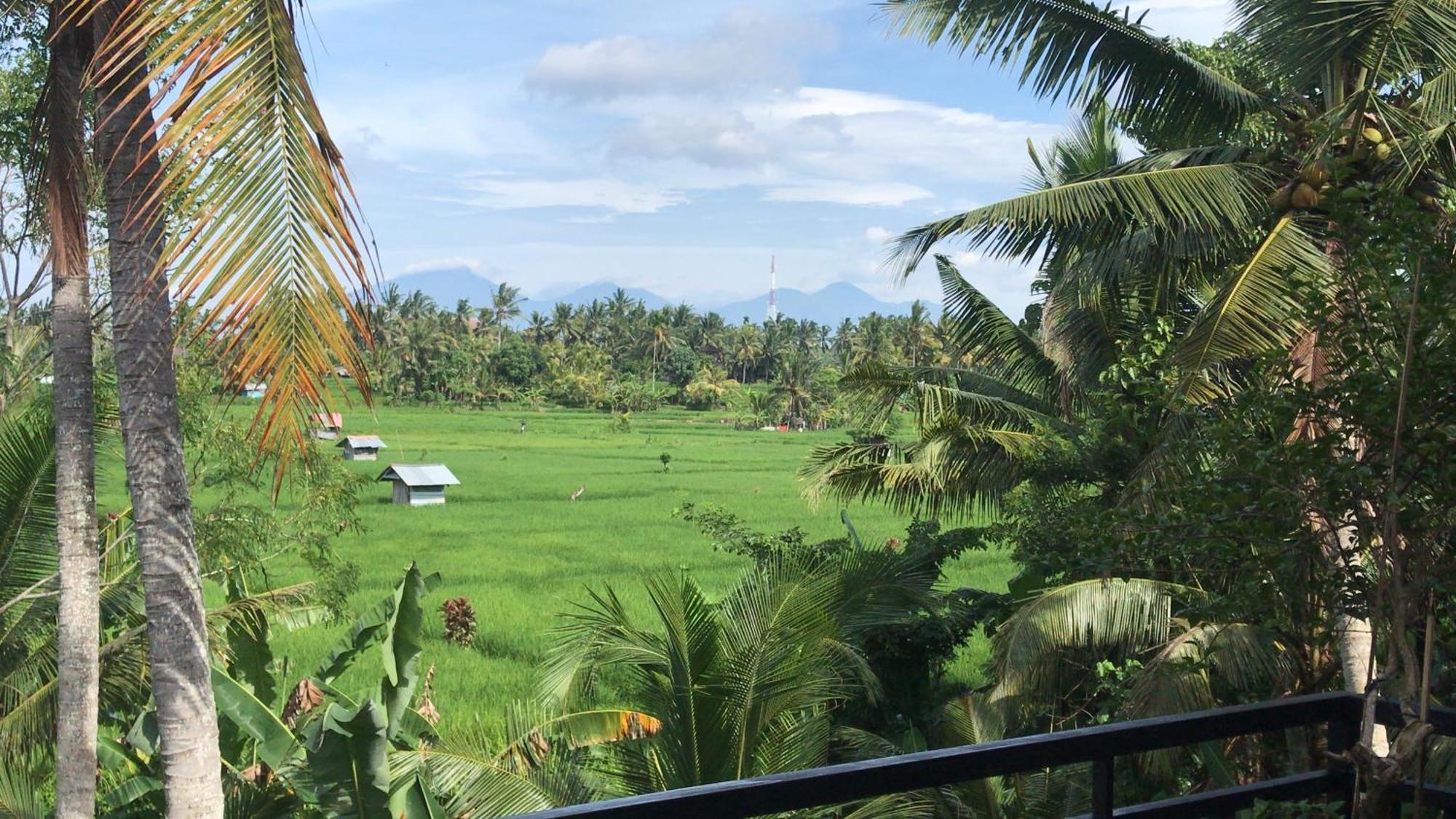 The Shea Ubud Tranquility Villa With Private Pool Exteriér fotografie